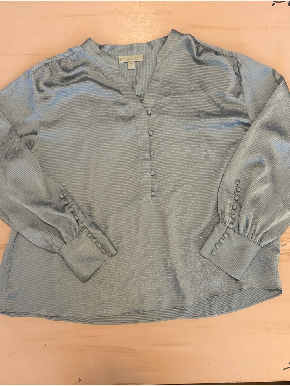 Ryegrass Soft V-Neck Button Placket Blouse in Light Blue
